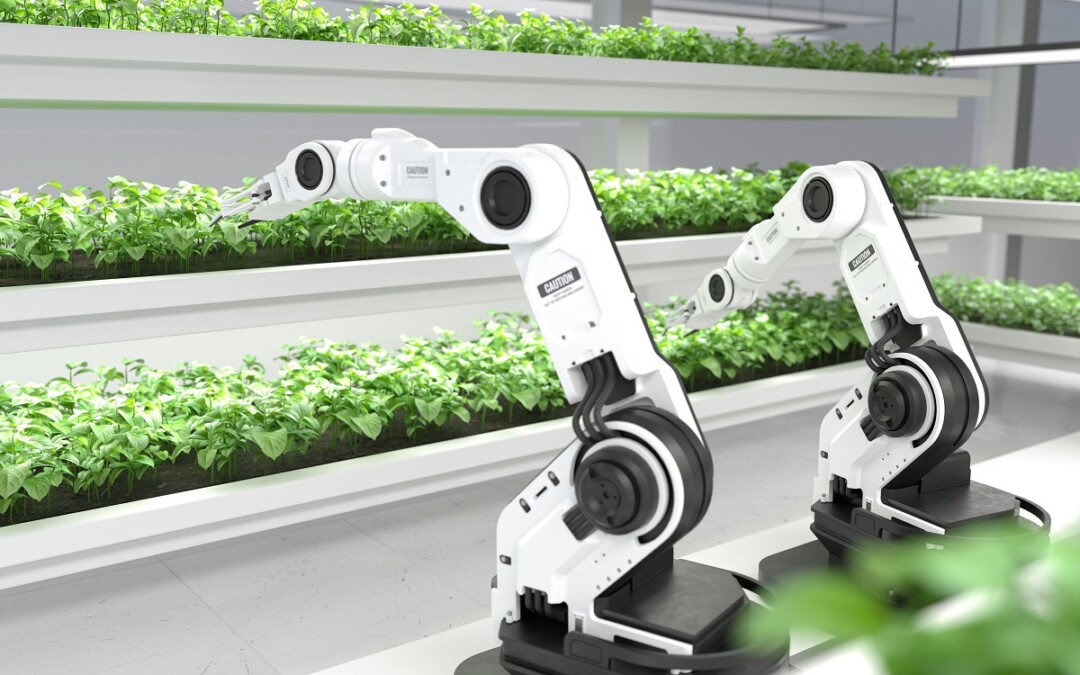 IFB-Erhöhung beschlossen