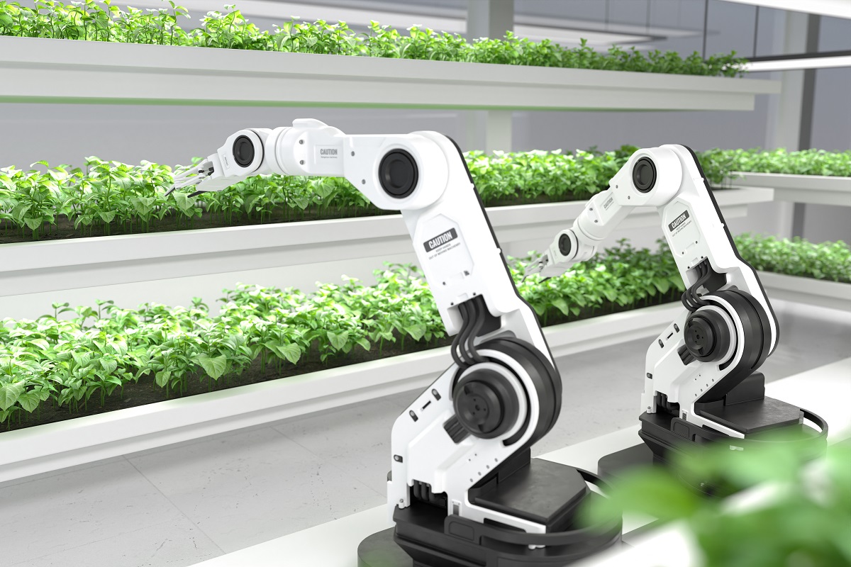 IFB steigt ab November auf 20 Prozent – Investitionen gut planen