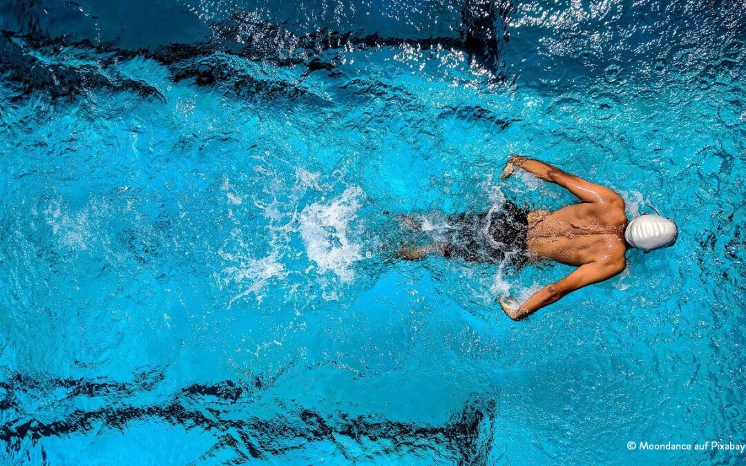 FORUM: Arbeiter Schwimm Verein Wien sucht Nachfolge für Office