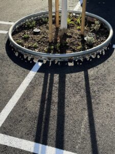 Manytrees